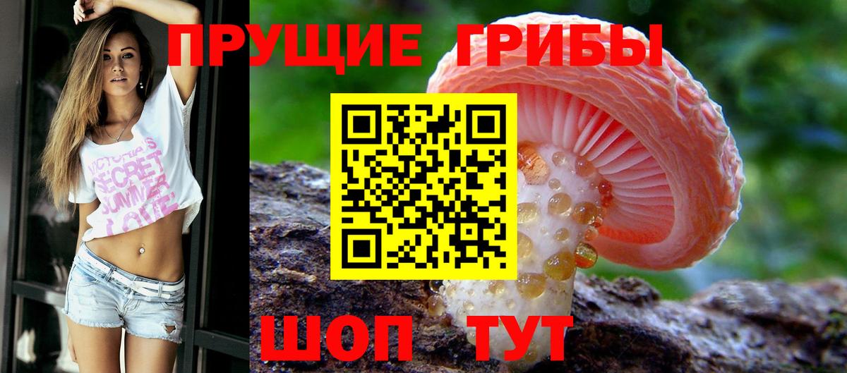 Апатиты  Галлюциногенные грибы мицелий  где купить   Вход с VPN  Галлюциногенные грибы прущие грибы 
